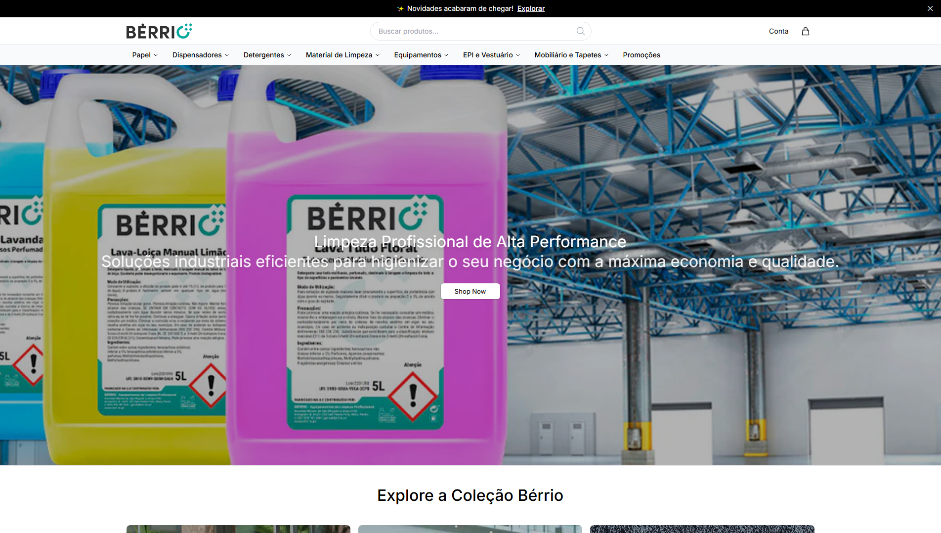 Stored capture of berriostudio.shop