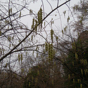 DSC-0141