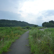 P1330290