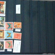 IMG-6836