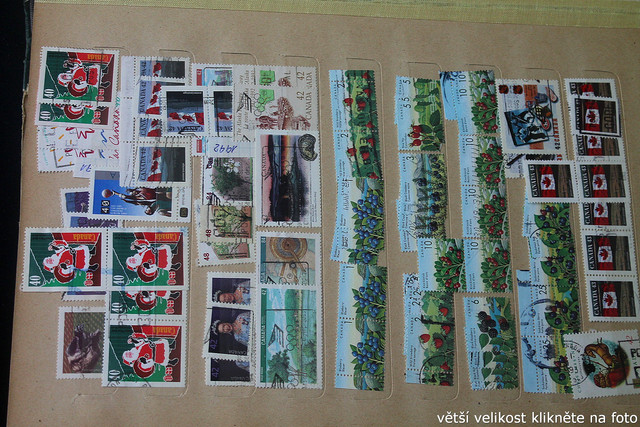 IMG-3480.jpg