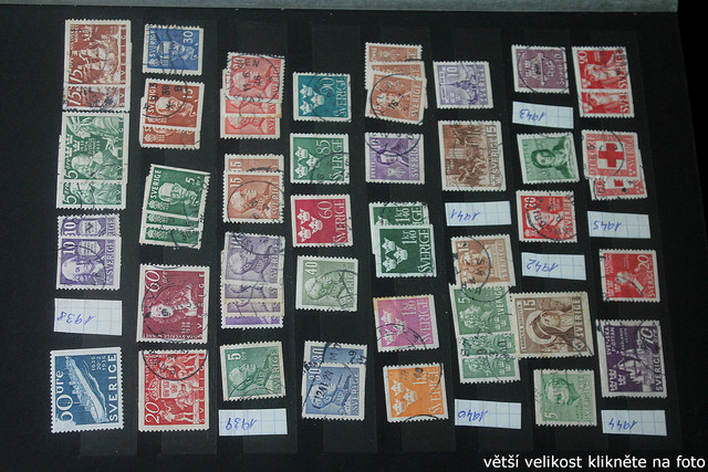 IMG-2289.jpg