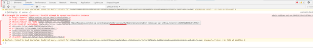ithemes-js-conflict