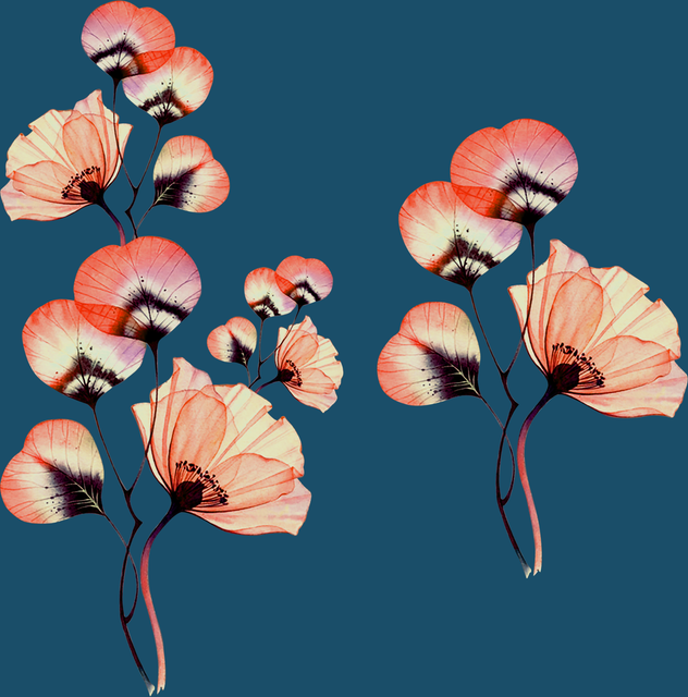 33810dbb1a6be41cb7e17850d40e417b.png