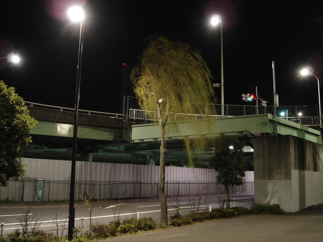 2012-01-03-06.jpg
