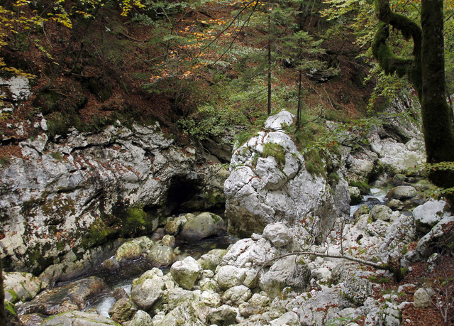 MG-7714
