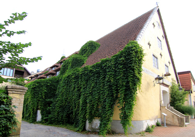 IMG-1629