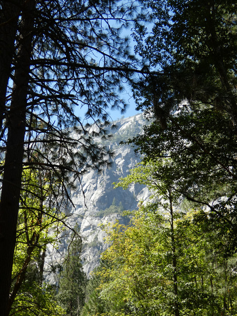 P1020883.jpg