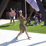IMG-9651
