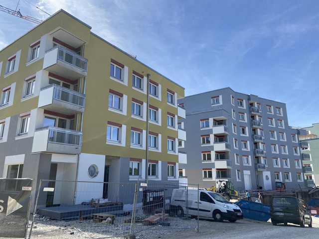 IMG 8135.jpg