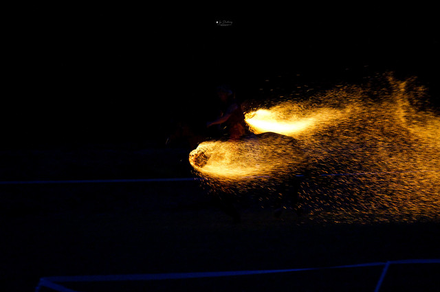 DSC05840.jpg
