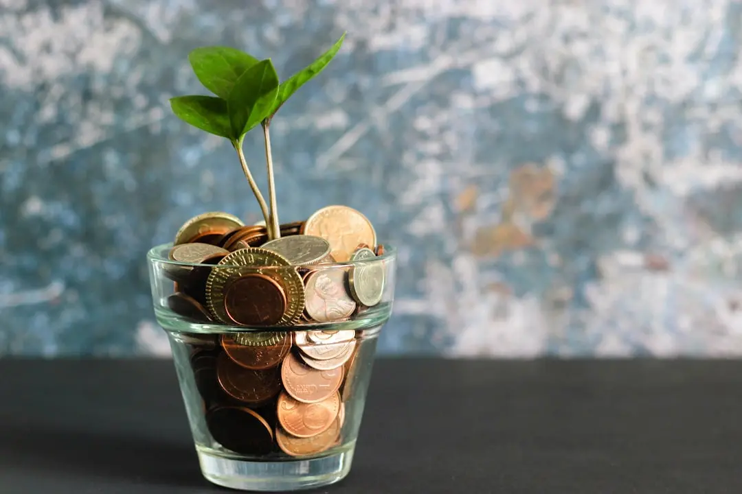 Norocurile financiare sunt în creștere
