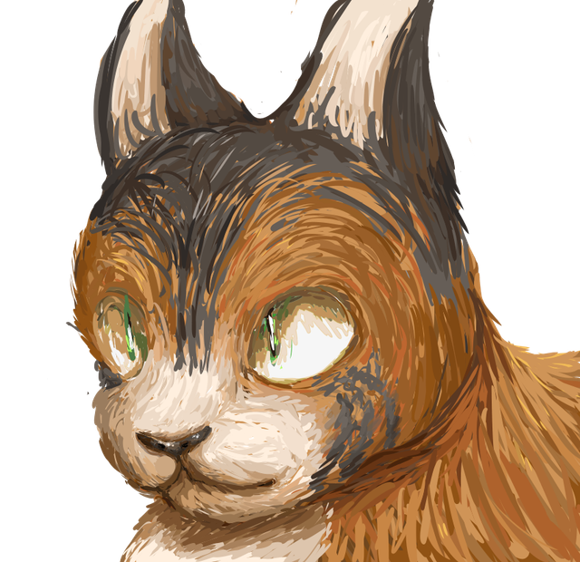 again kitty.png