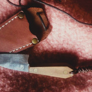 Perrin BPS 2