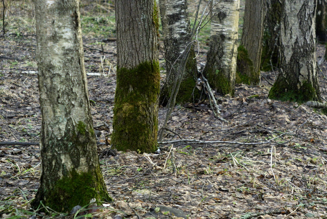 DSC8405.jpg