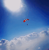 IMG-5579.gif