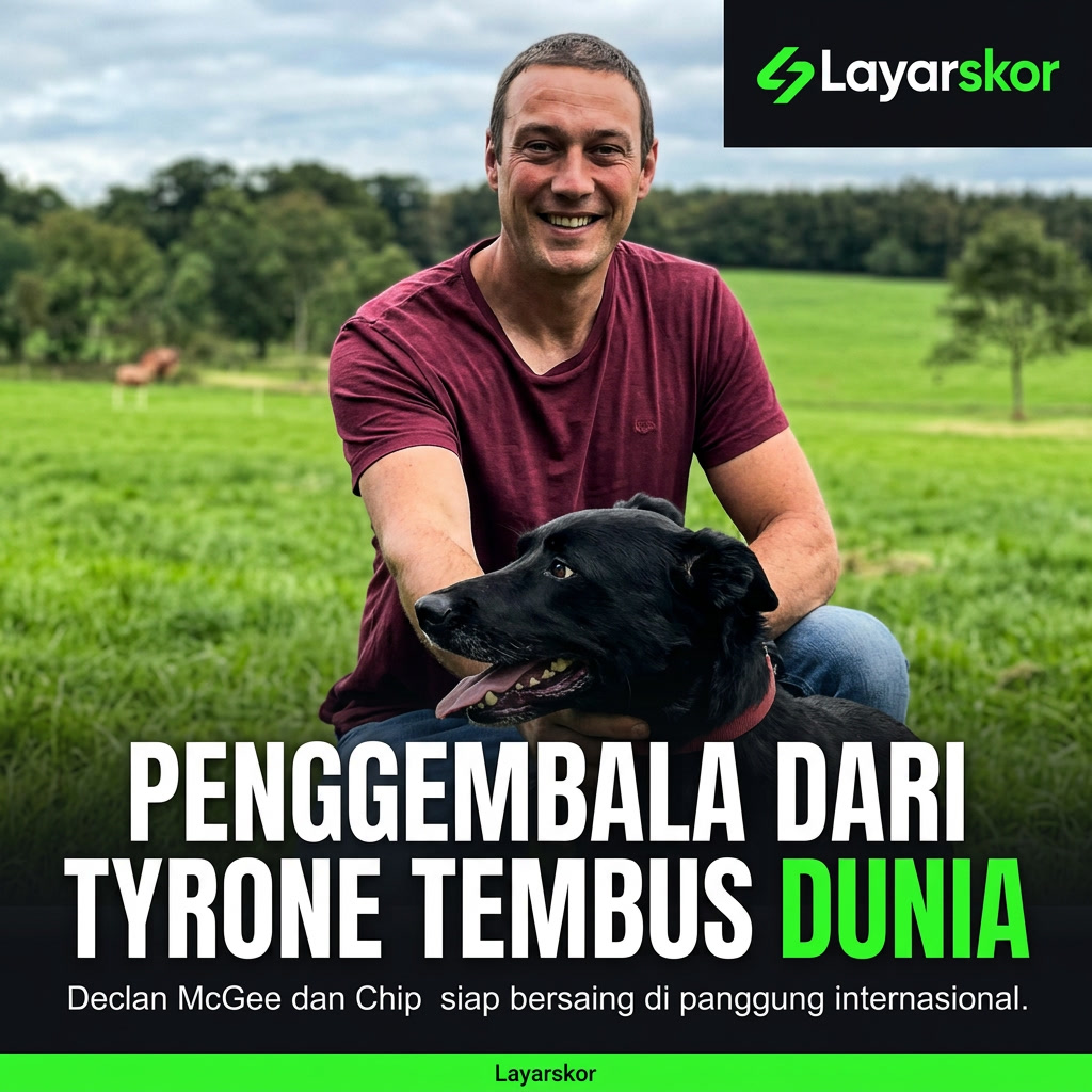 Dari Kandang ke Panggung Dunia: Declan McGee dan Chip Siap Menggebrak Kejuaraan Anjing Gembala
