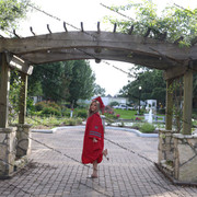 IMG 7567