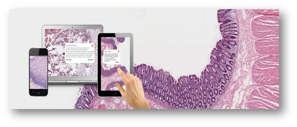Virtual Microscopy Platform