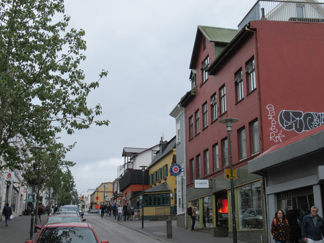 IMG 0347
