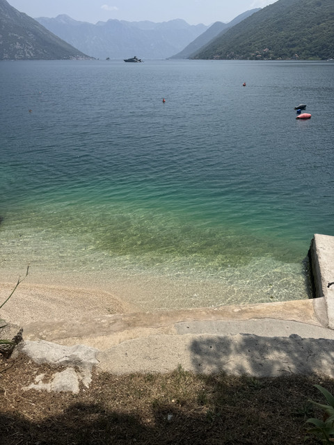 IMG-3464