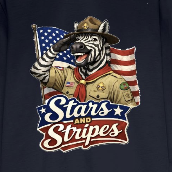 Stars and Stripes Sample Image.png