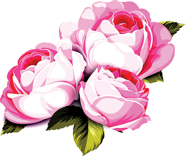 Layer 21 (4).png