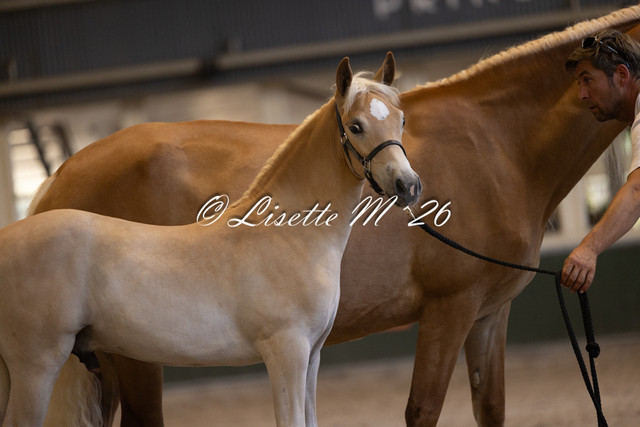 234 2