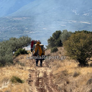 Δασ Πυρκαγια013