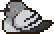 IMG 2902.gif