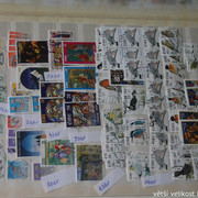 IMG-3719