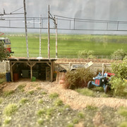 IMG 0434