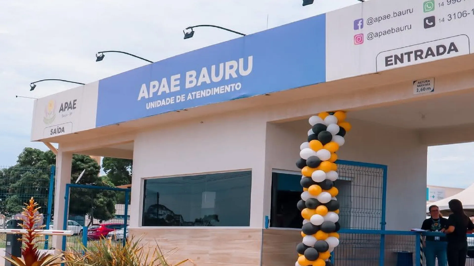 Apae