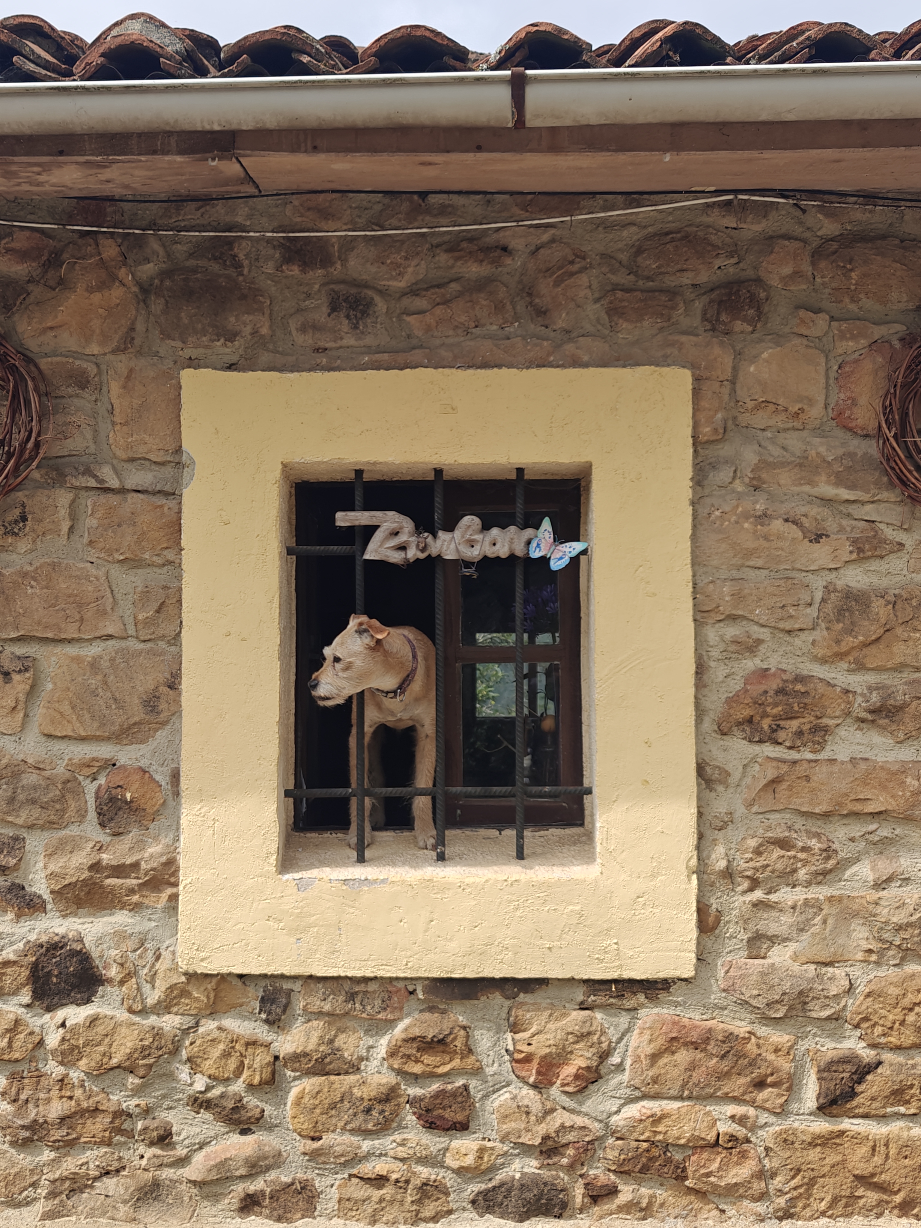 Dag 19 - Villaviciosa 🥏 Gijón 6