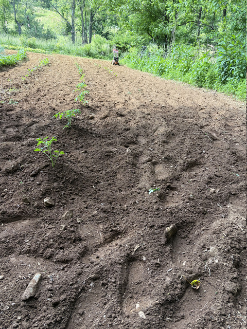 IMG 0648