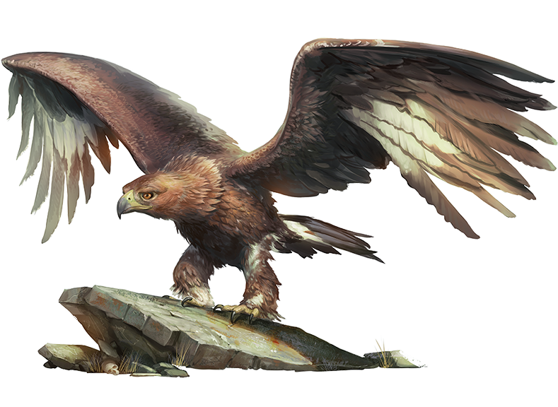 ghawk