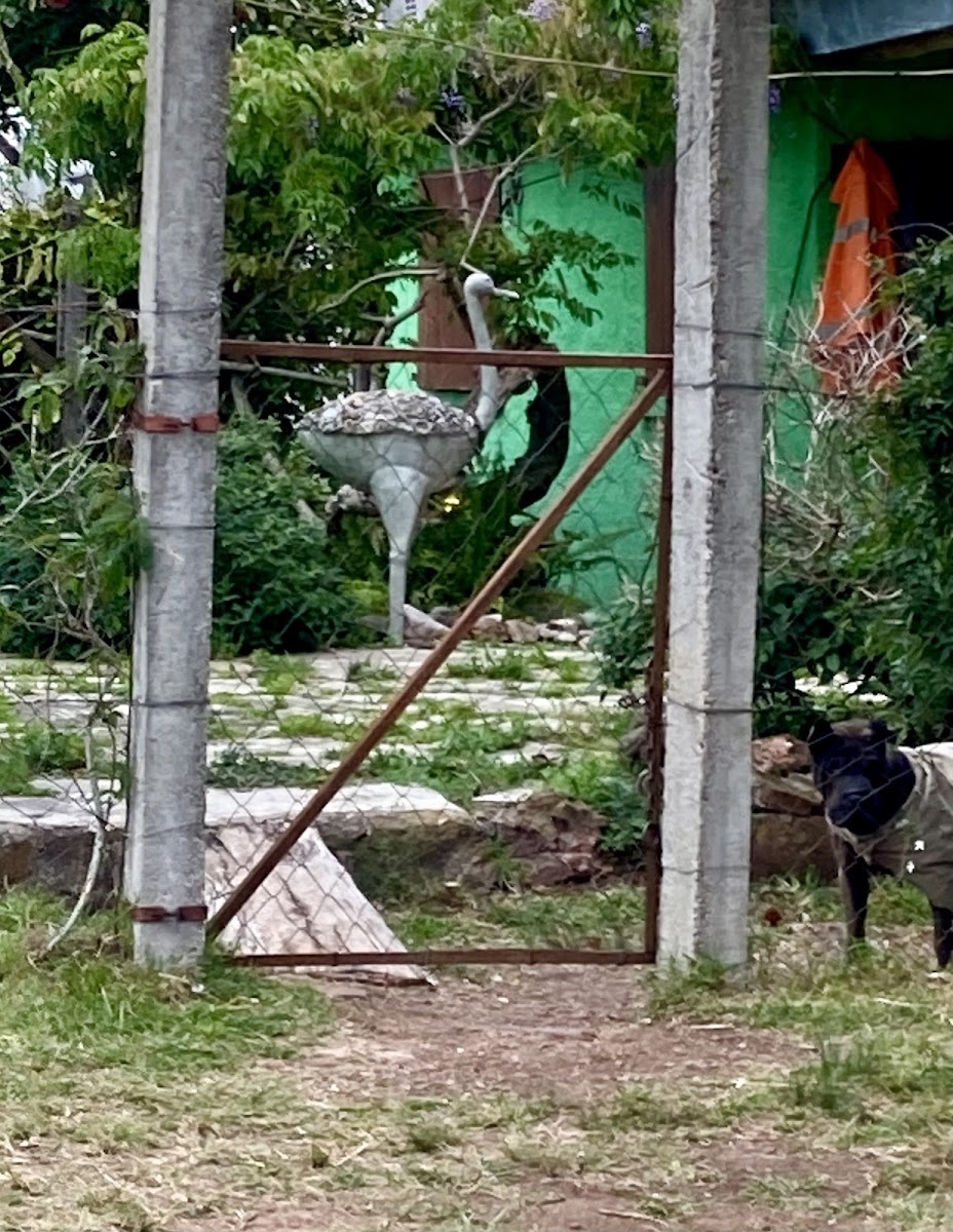 Escuela N°11