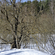 DSC0131 2
