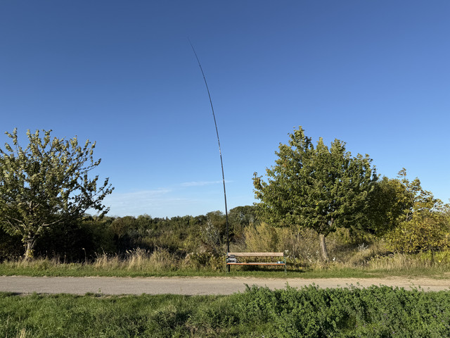 IMG-0451