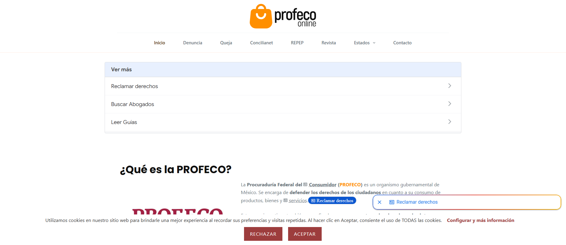 Gespeicherte Aufnahme von profeco.online