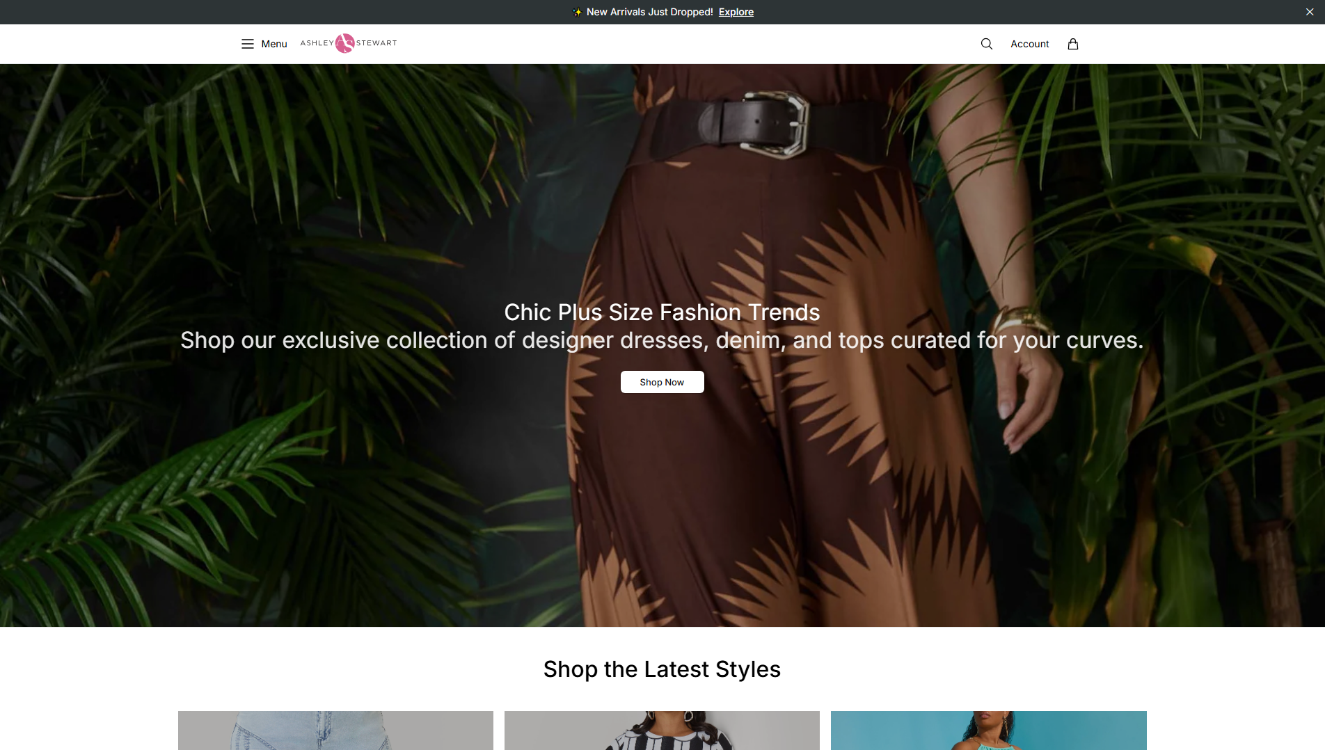 Stored capture of ashfashion.shop