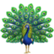 peacock-1f99a