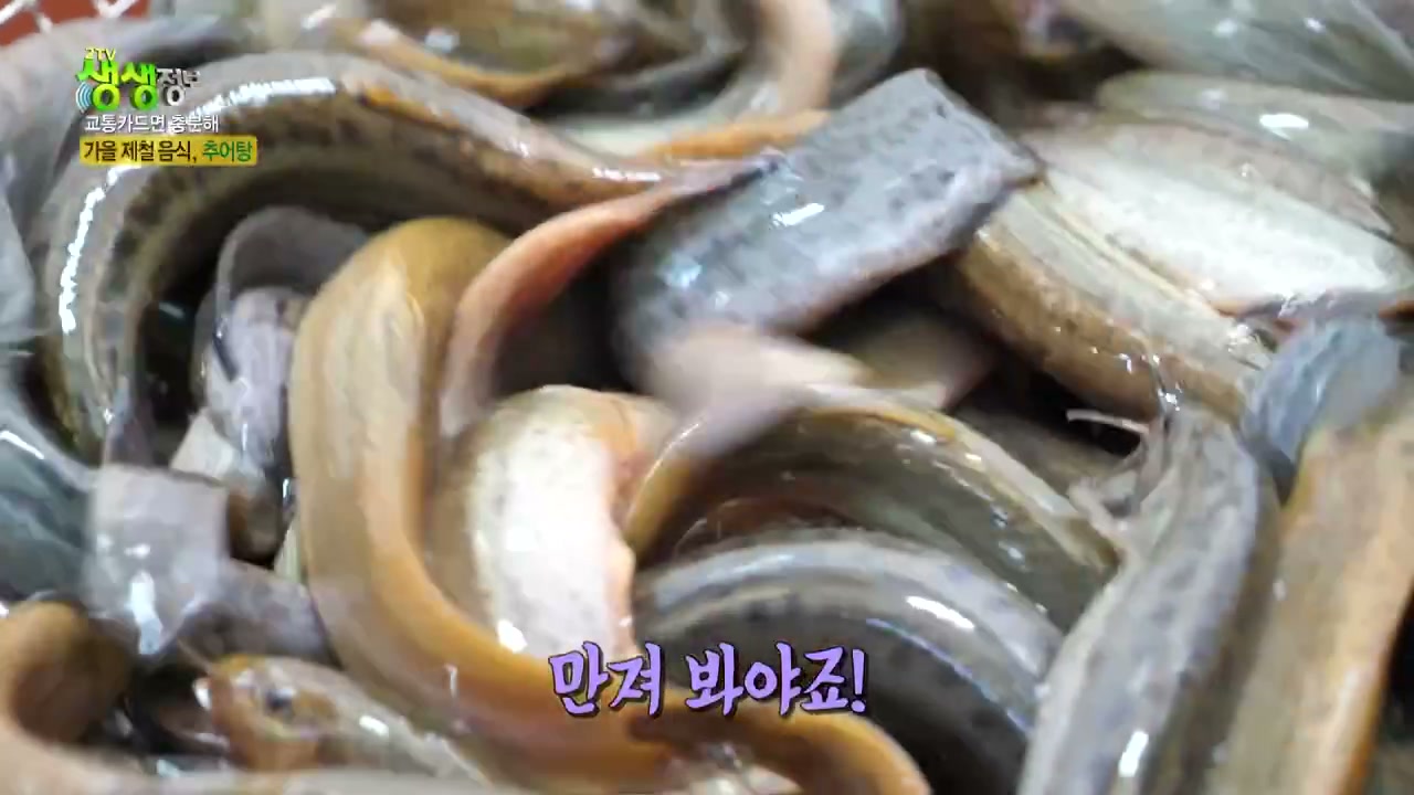 2TV생생정보 거창 추어탕 캡처