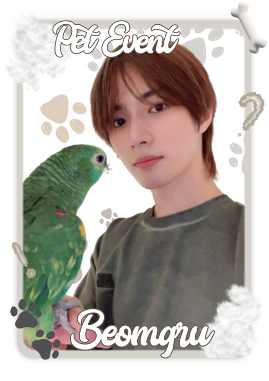 Haewon-Bot-Template8-20250428180132.webp