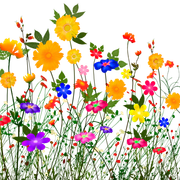 025