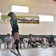 EMA6773