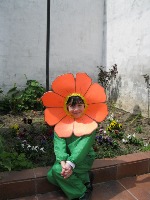 IMG 0100.jpg