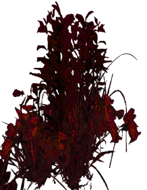 Carrion Growth2
