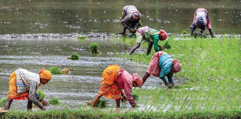 কৃষক বন্ধু প্রকল্প ২০২৬: ₹১০,০০০ আর্থিক সহায়তা, যোগ্যতা, আবেদন পদ্ধতি ও মৃত্যু সুবিধা
