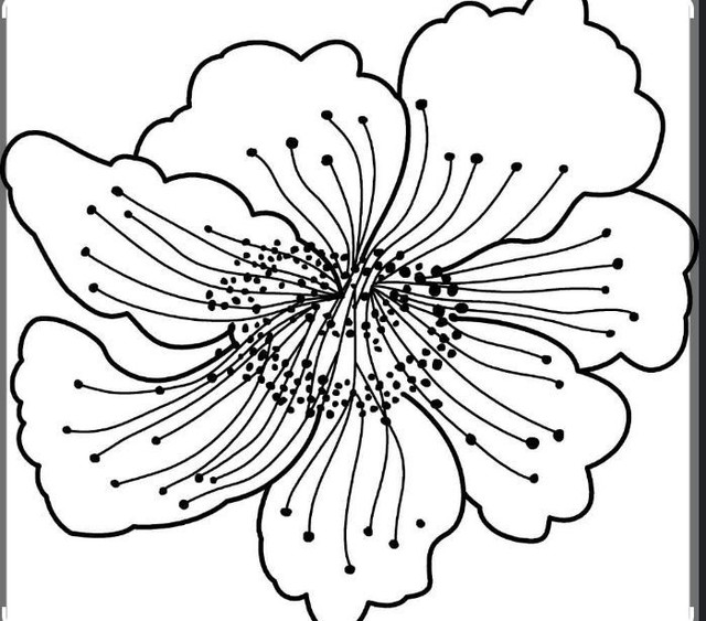 0c693ad05b862c08ed2e3bc67cdab83c.jpg